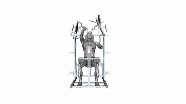 Hammer Strength Plate Loaded High Row Single Arm (2)