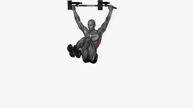Hanging knee raises (2)