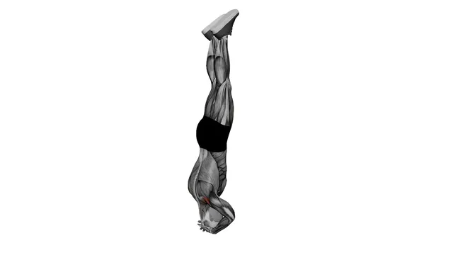 Headstand (2)