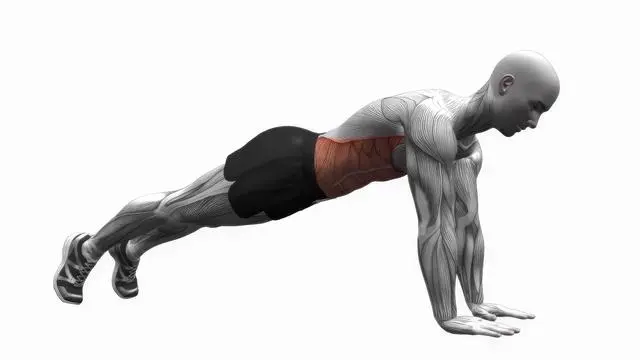 High plank (2)