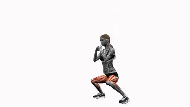 In and out squats (5)