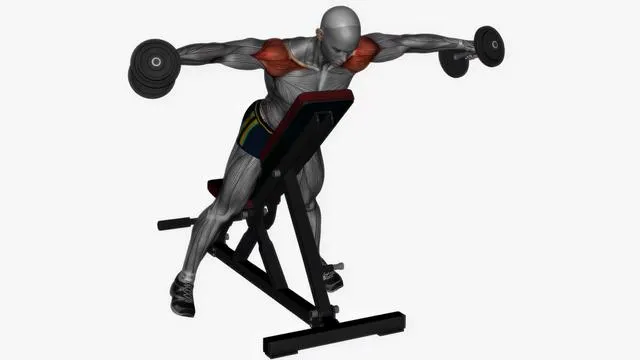 Incline lateral raises dumbbell (2)