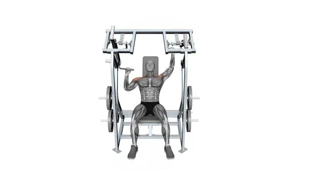 Iso Lateral Shoulder Press Alternate Arms (2)