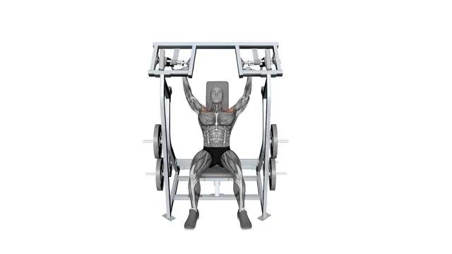 Iso Lateral Shoulder Press Both Arms (2)