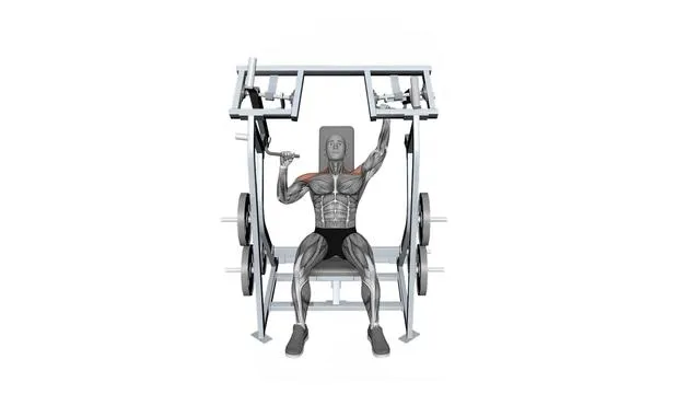 Iso Lateral Shoulder Press Single Arm (2)