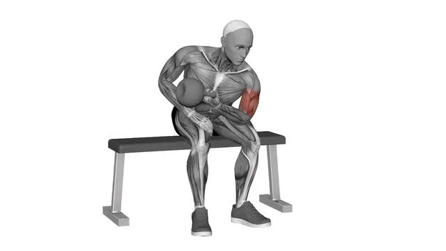 Kettlebell Concentration Curl (2)