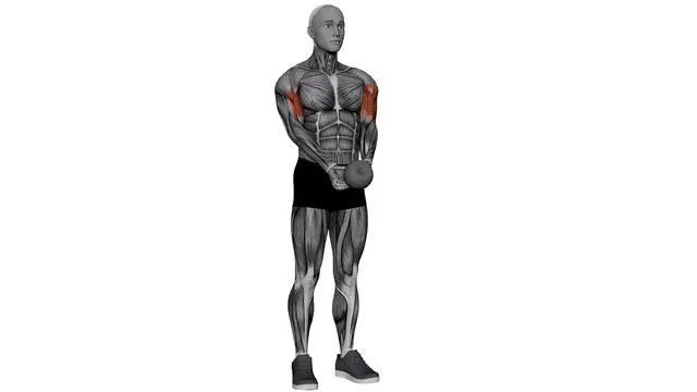 Kettlebell Curl (1)