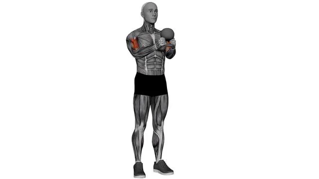 Kettlebell Curl (2)
