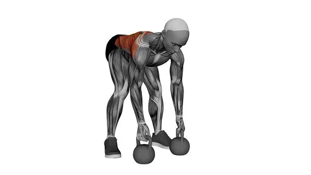 Gorilla Rudern (Kettlebells) (1)