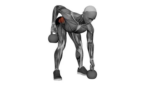 Gorilla Rudern (Kettlebells) (2)