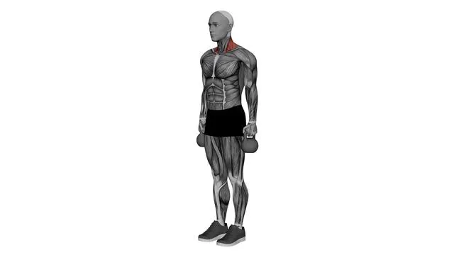 Kettlebell Shrug (1)