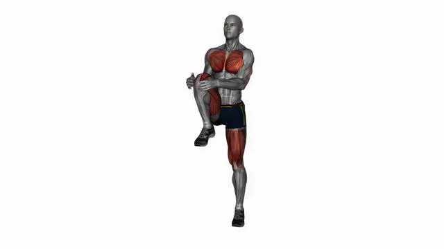 Knee to chest stretch (2)