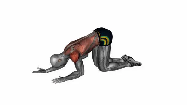 Kneeling lat floor stretch (2)