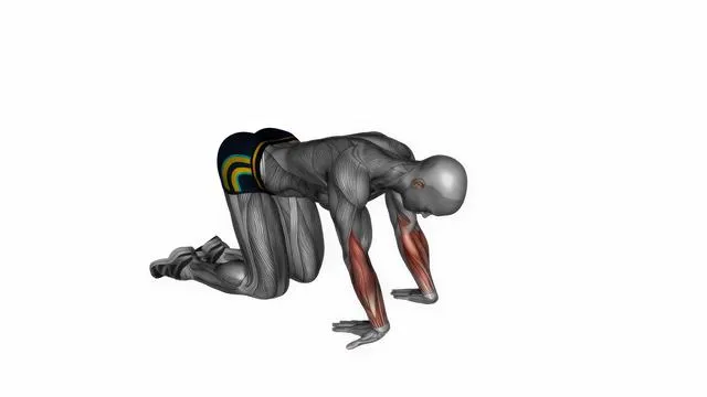 Kneeling wrist flexor stretch (2)