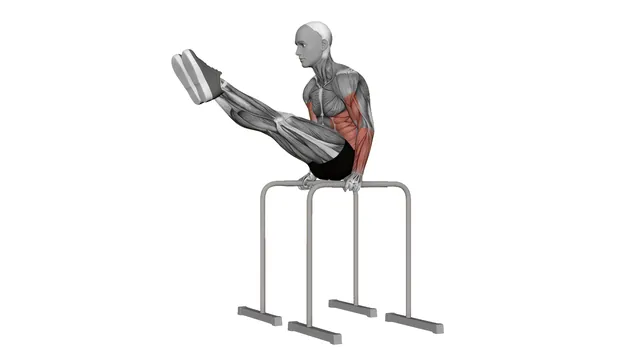 L Sit Hold (2)