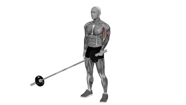Landmine Bicep Curl (1)
