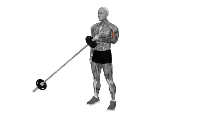 Landmine Bicep Curl (2)