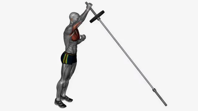 Landmine chest press (2)