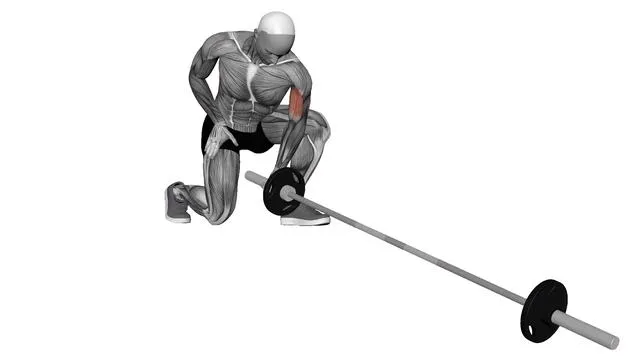 Landmine Concentration Curl (1)