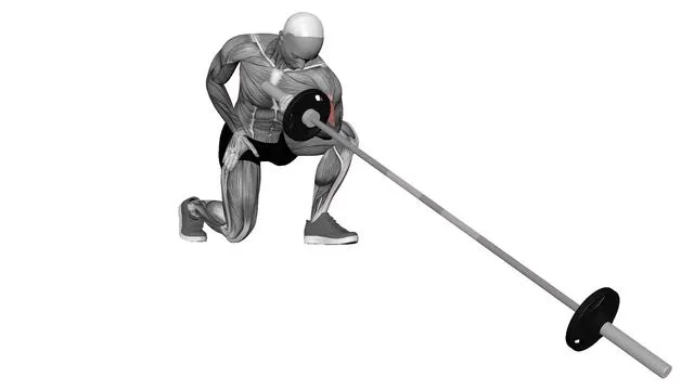 Landmine Concentration Curl (2)