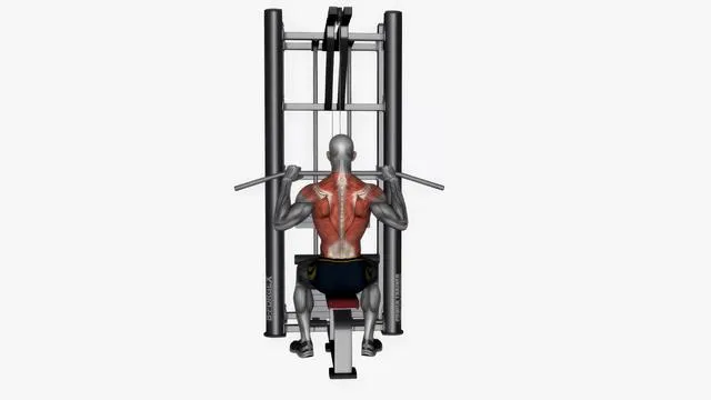 Lat pull down close grip (2)