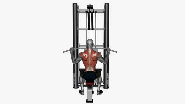 Lat pull down normal grip (2)