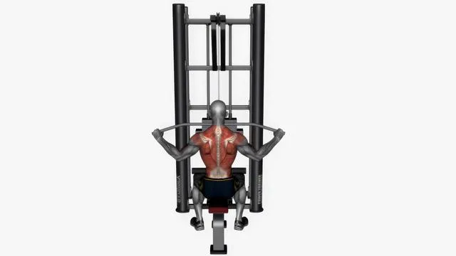 Lat pull down wide grip (2)