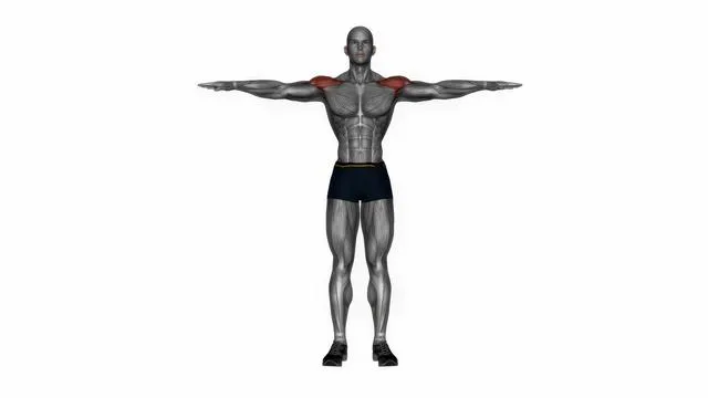 Lateral raise bodyweight (2)