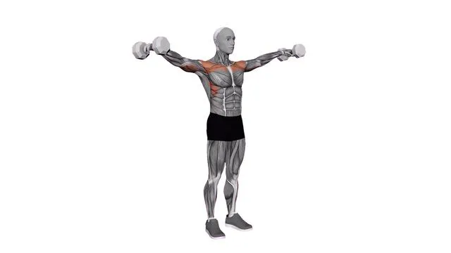 Lateral raises dumbbell (2)
