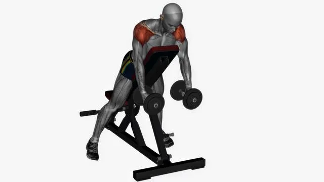Lateral raises dumbbell (3)
