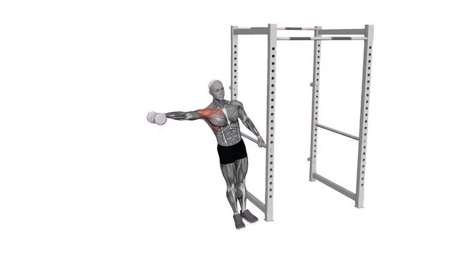 Leaning Dumbbell Lateral Raise (2)