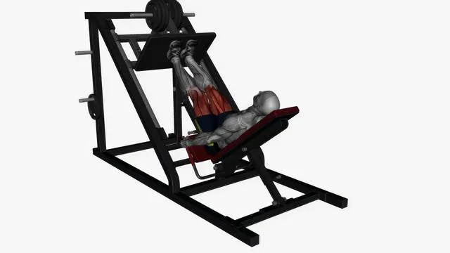 Leg press machine close stance (2)