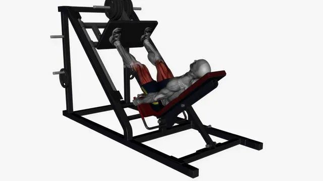 Leg press machine normal stance (3)