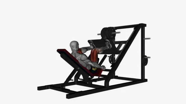 Leg press wide high stance (3)