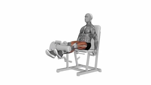 Lever Leg Extension (2)