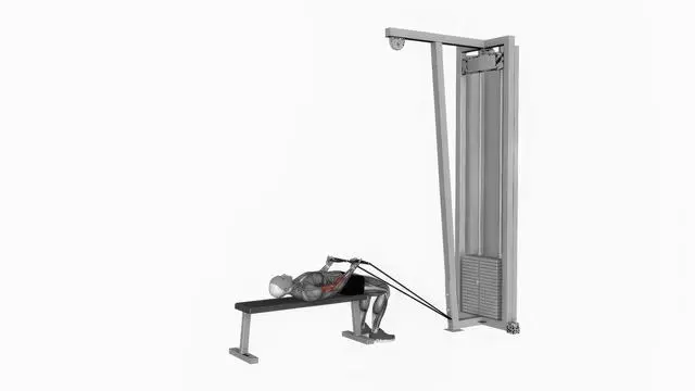 Low Resistance band lying bicep curl (3)