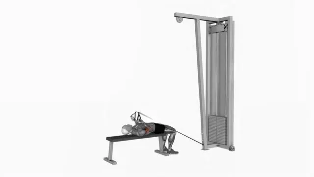 Low Resistance band lying bicep curl (4)