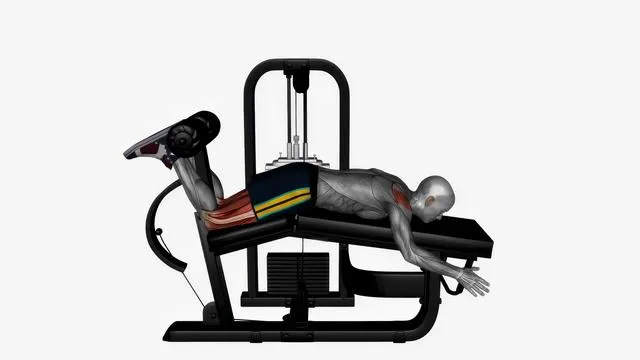 Lying leg curl machine (2)