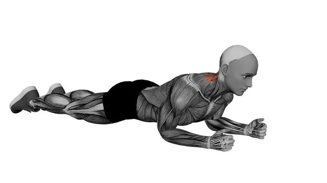 Lying Neck Extension (1)