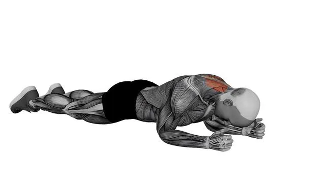 Lying Neck Extension (2)