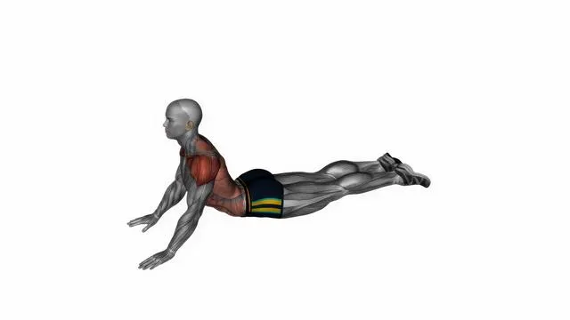 lying (prone) abdominal stretch (2)