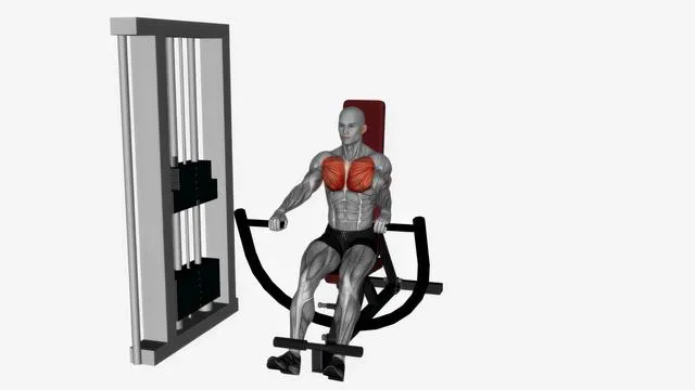 Machine chest press decline (2)