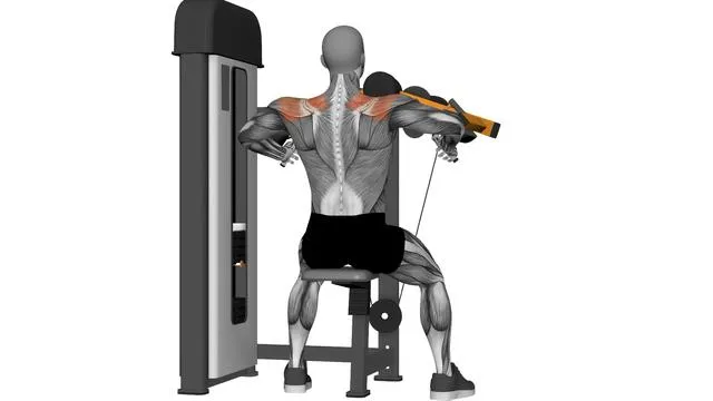 Machine Lateral Raise (2)