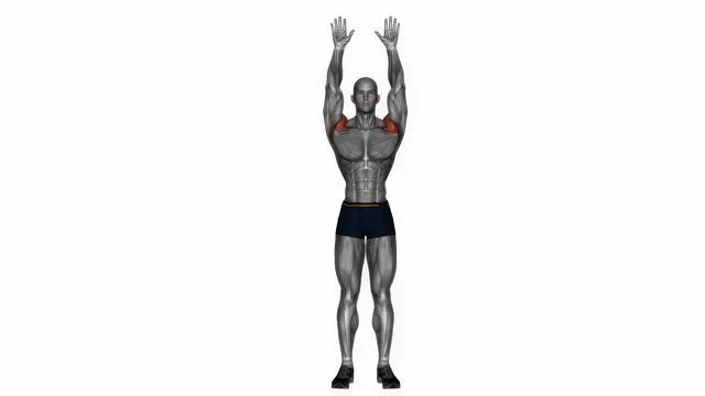 Military press bodyweight (2)
