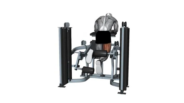 MTS ISO-LATERAL KNEELING LEG CURL (2)