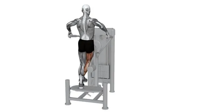 Multi Hip Abduction (2)