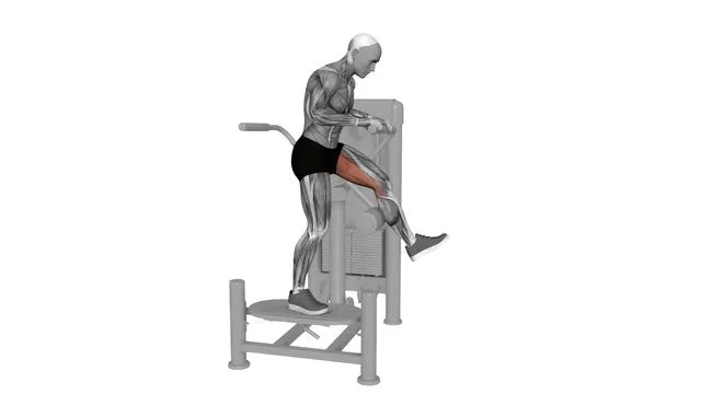 Multi Hip Glute Extension (2)