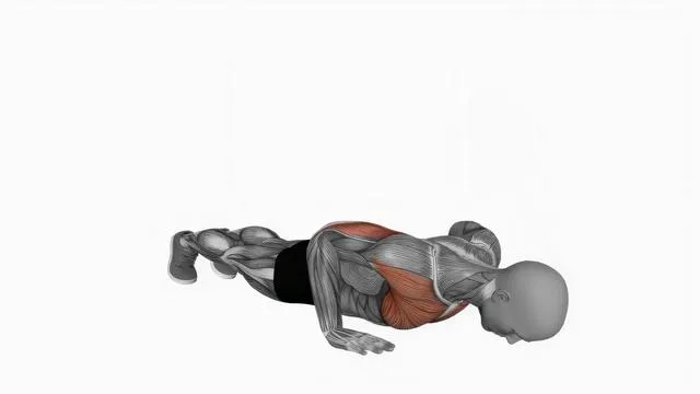 Normal Push-up (2)