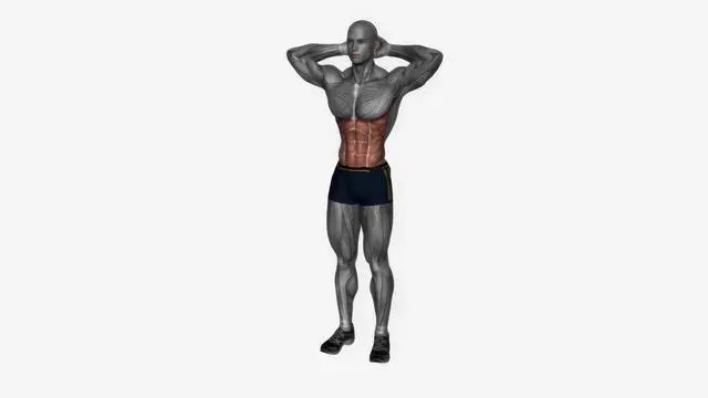 Oblique crunch (3)