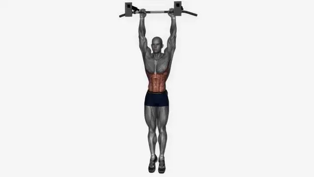 Oblique crunch (5)